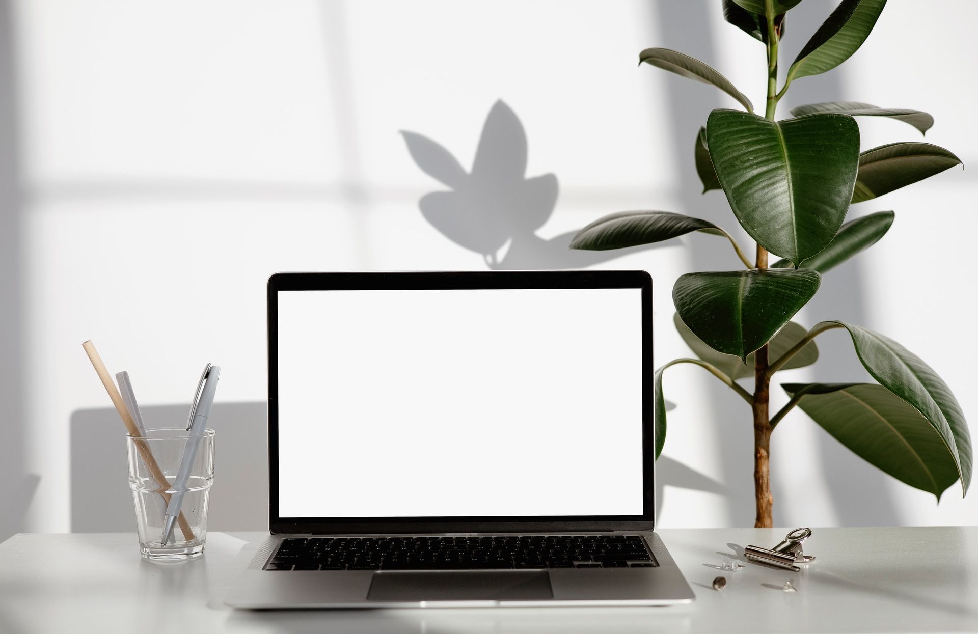 Mac电脑怎么提取PDF文件的文字?OCR是什么?